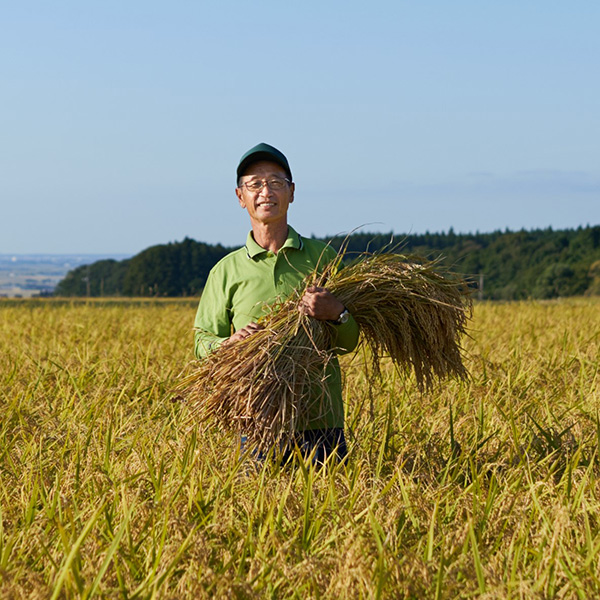 生産者の斎藤さん画像